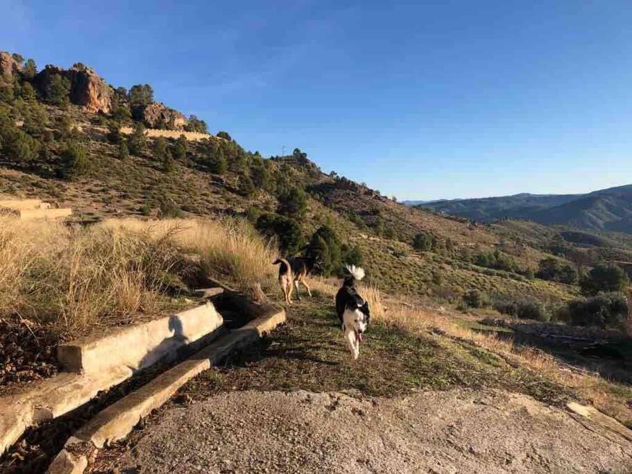 Casa Rural Con Encanto Senorio Manchego Albacete 耶斯特 外观 照片