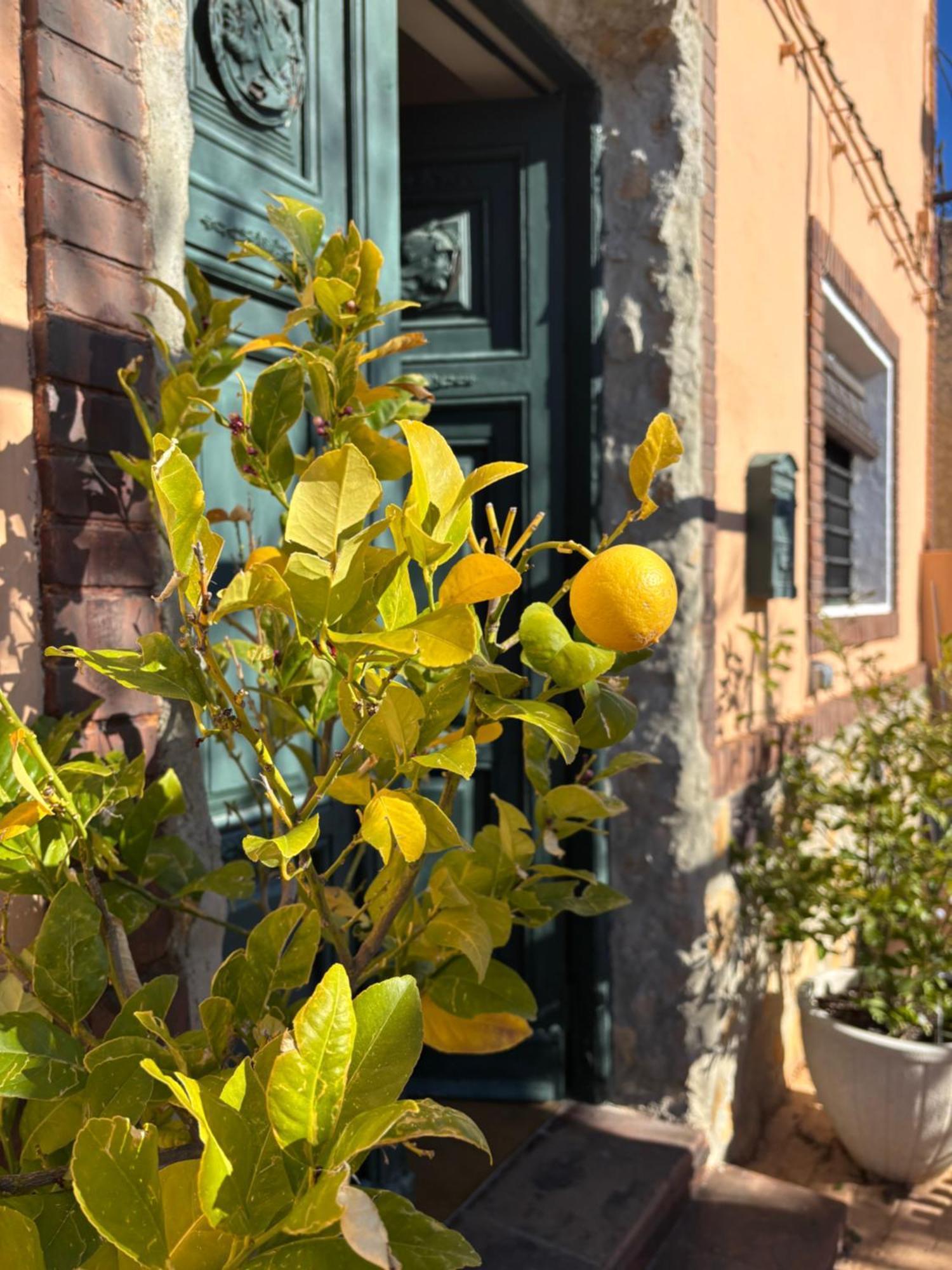 Casa Rural Con Encanto Senorio Manchego Albacete 耶斯特 外观 照片